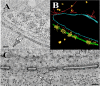 FIG 9