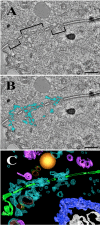 FIG 7