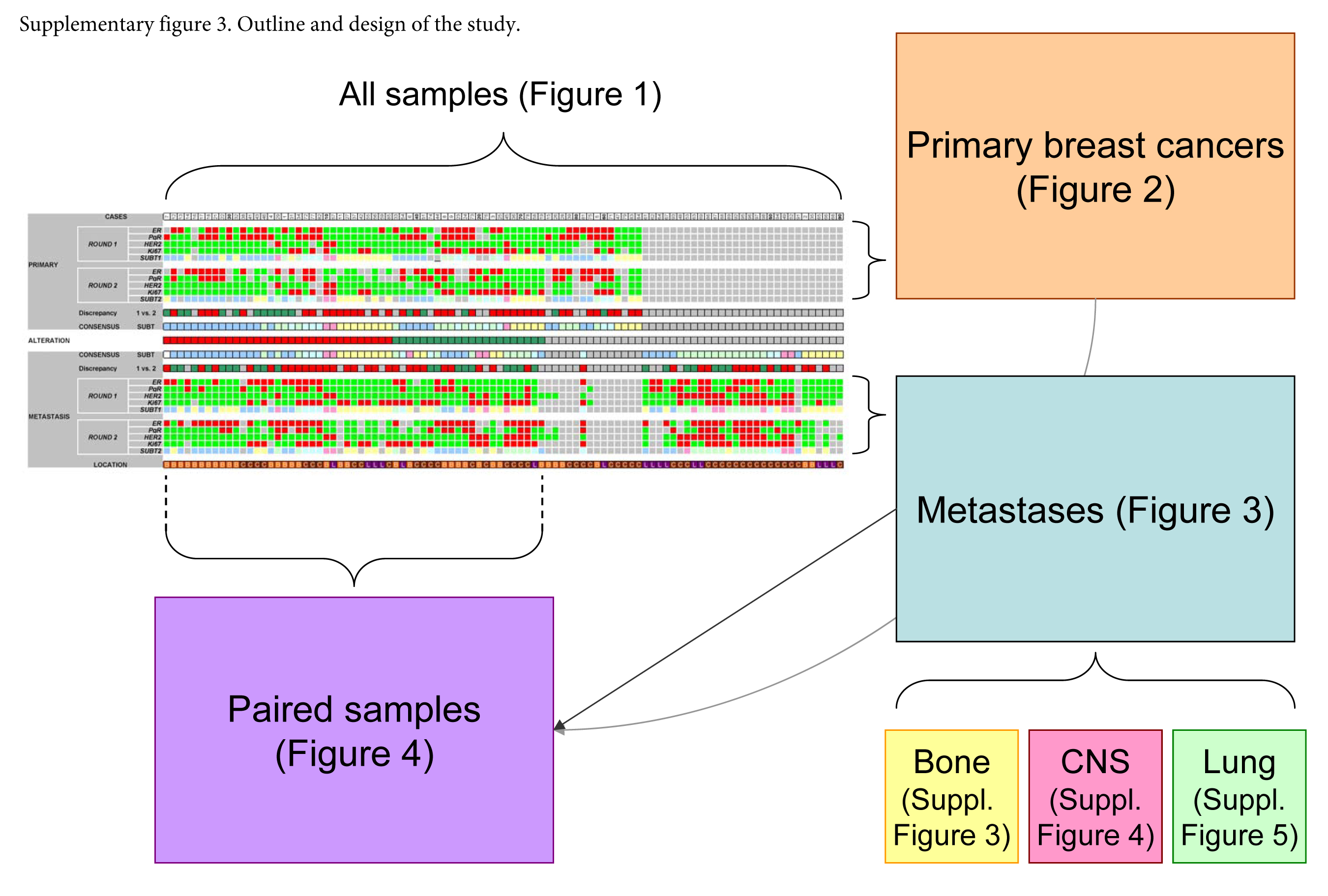 graphic file with name Supplemental_Figure_3.jpg