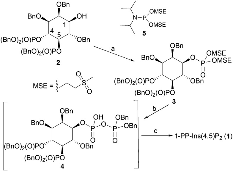 Scheme 1