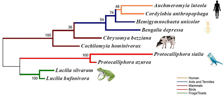 Fig 4