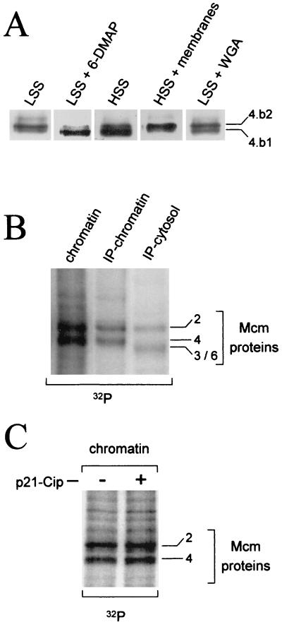 FIG. 6