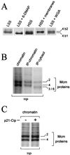 FIG. 6