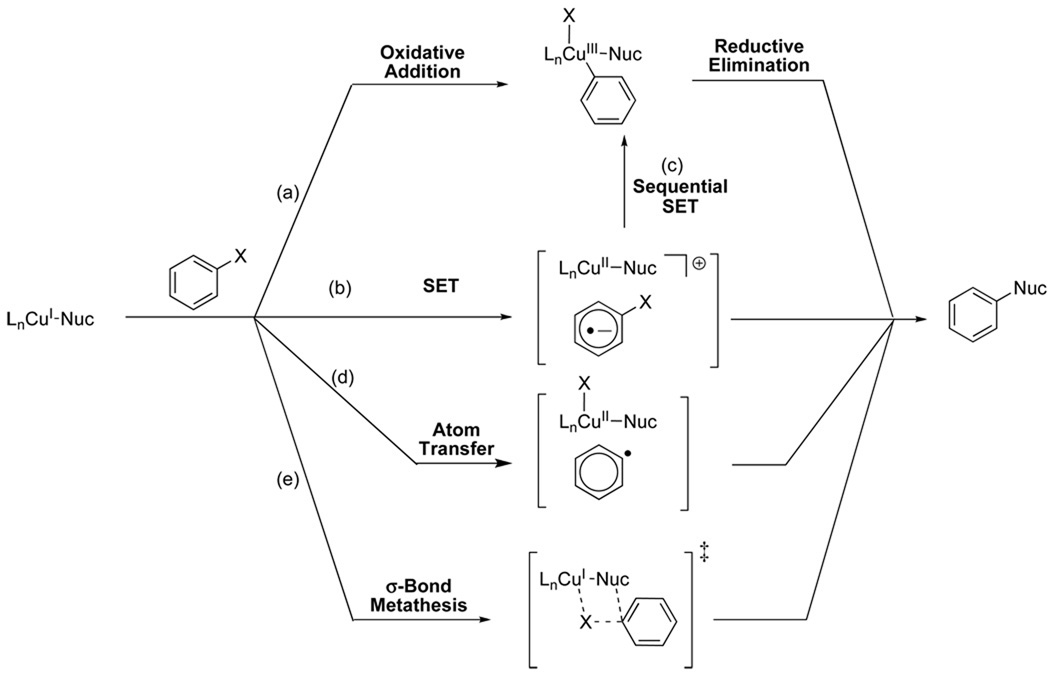 Scheme 3