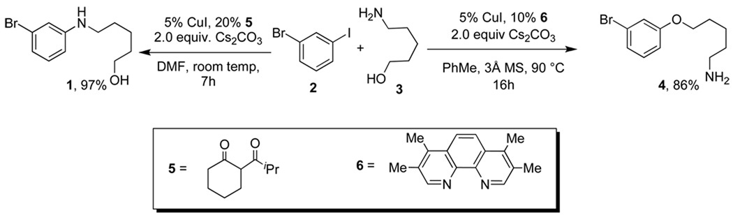 Scheme 1