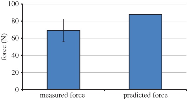 Figure 5.