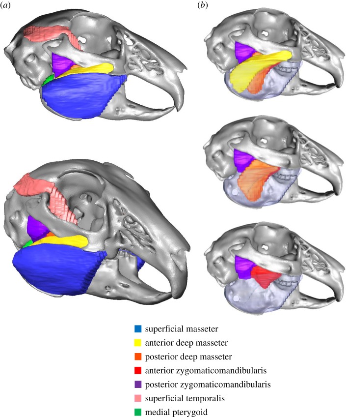 Figure 1.