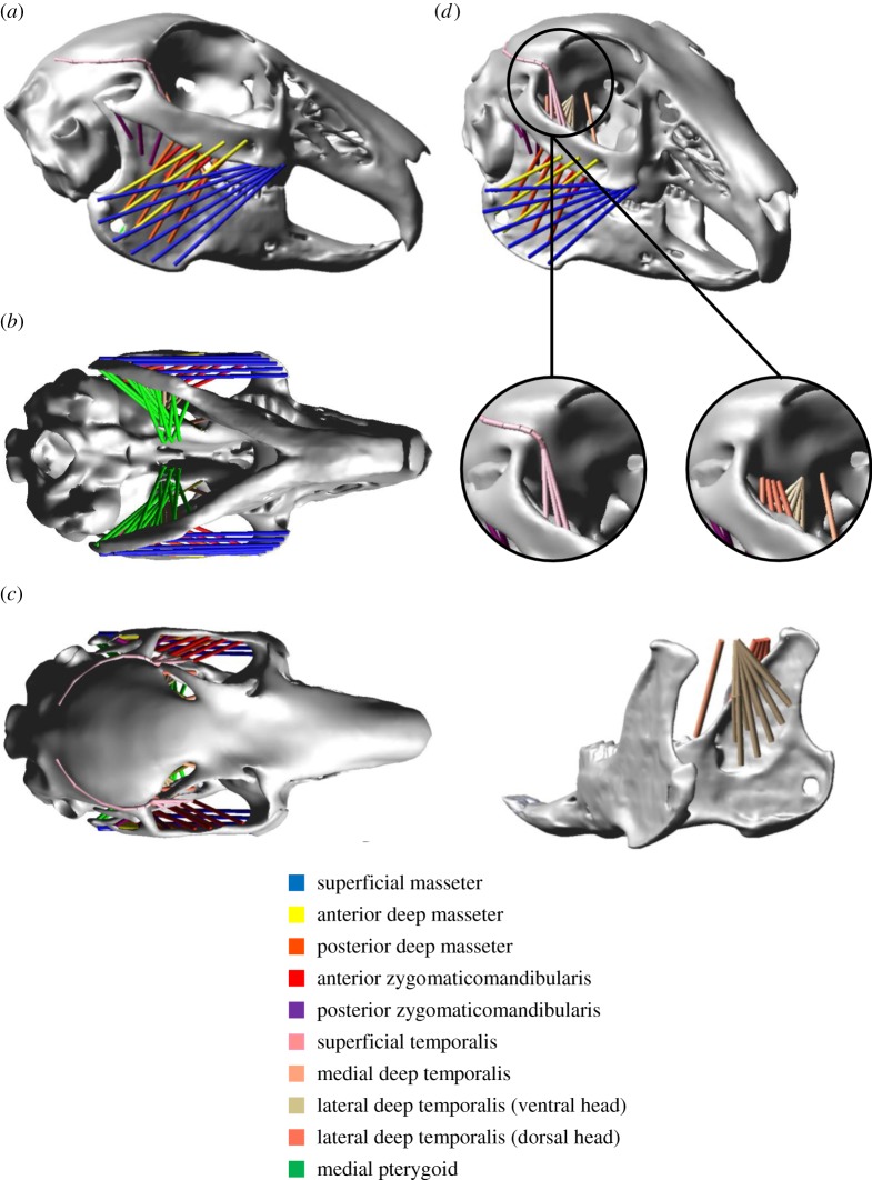 Figure 3.