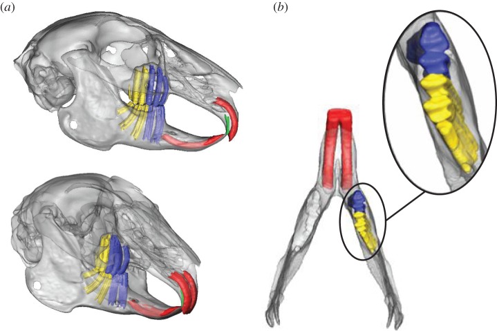 Figure 2.