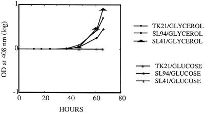 FIG. 5