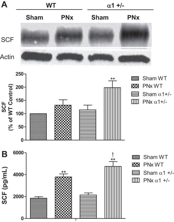 Fig. 9.