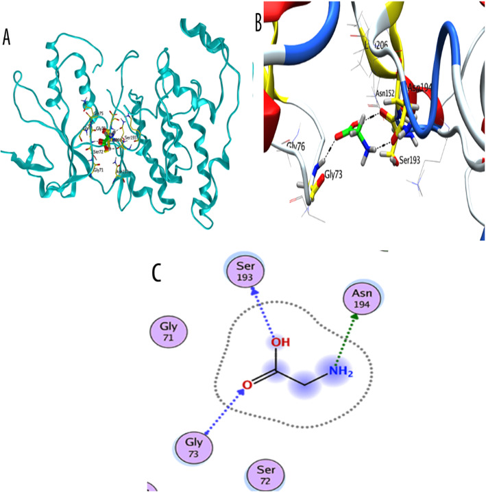 Fig. 7