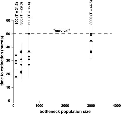 Figure 4.—