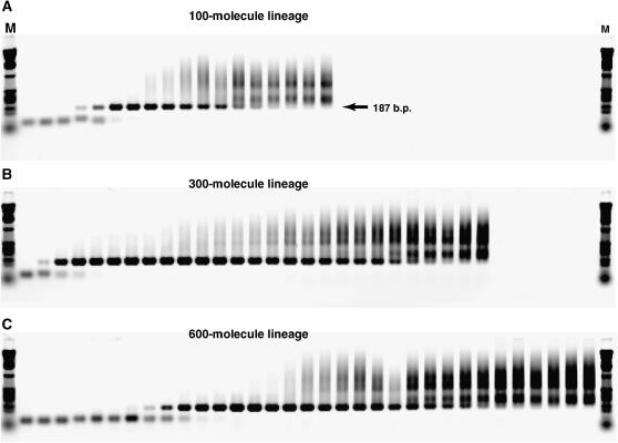 Figure 3.—