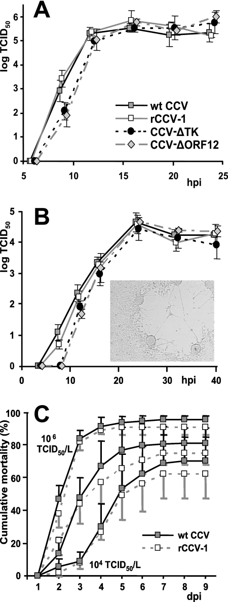 FIG. 3.