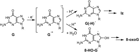 Fig. 5