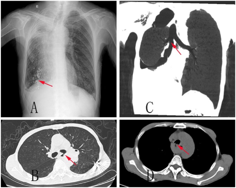 Figure 3.