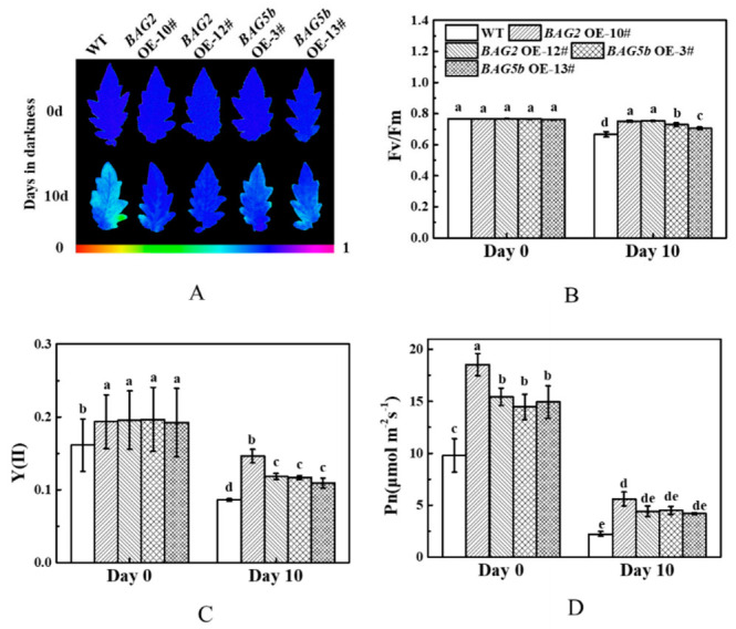 Figure 10