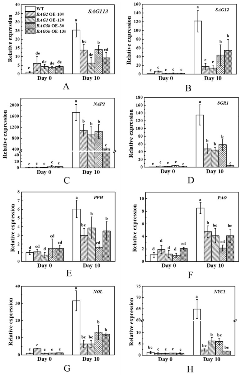 Figure 12