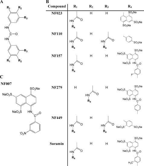 FIGURE 7.