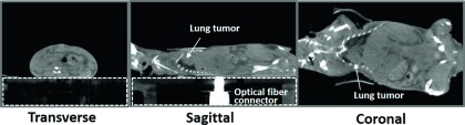 FIG. 6.