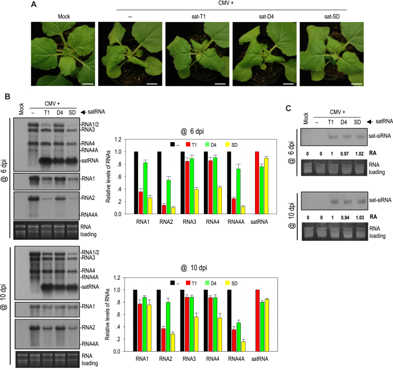 Figure 4.