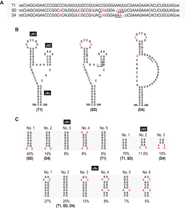 Figure 5.