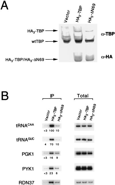 FIG. 6