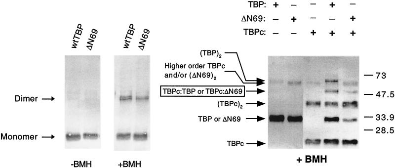 FIG. 9