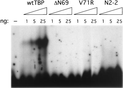 FIG. 8