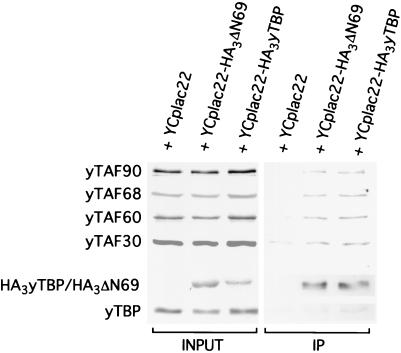 FIG. 7