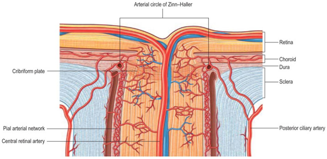 Figure 3: