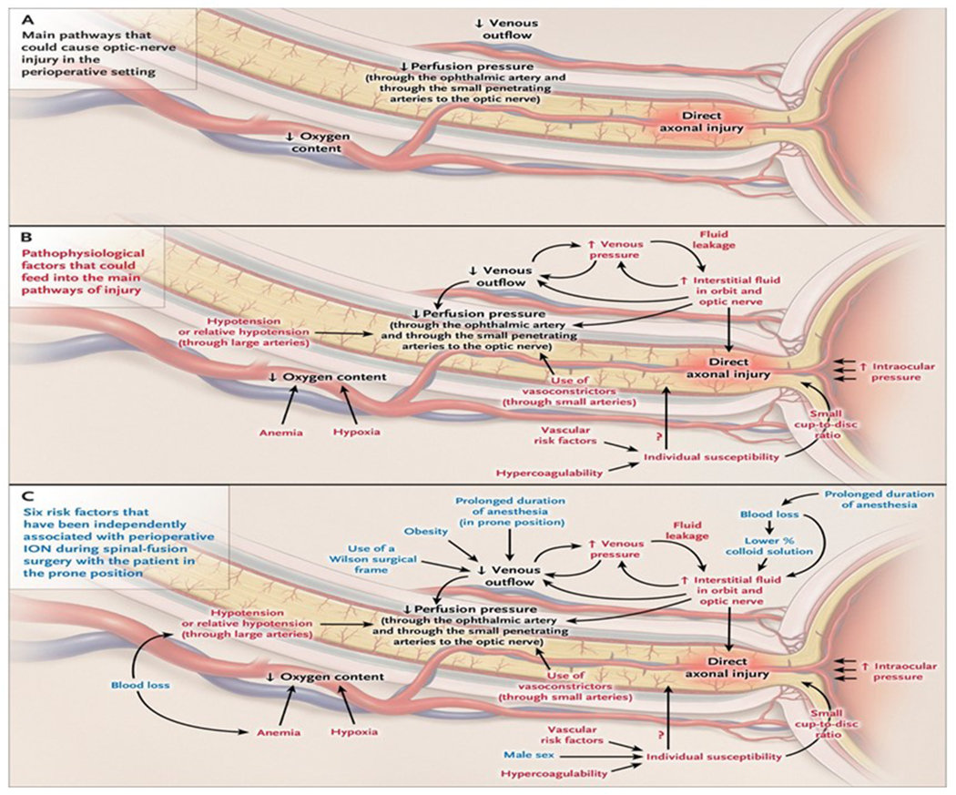 Figure 4: