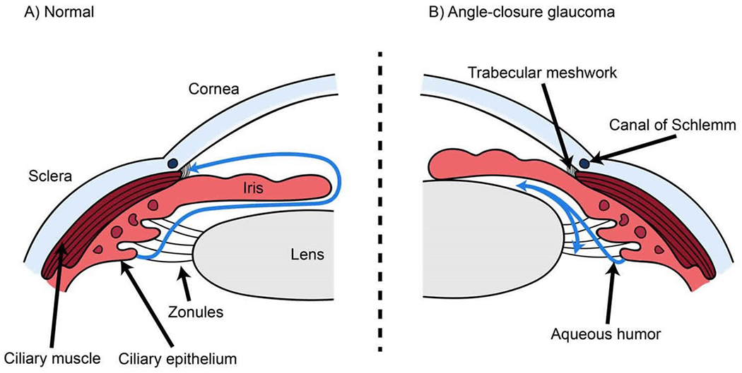 Figure 5: