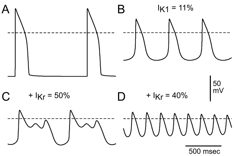 Figure 13