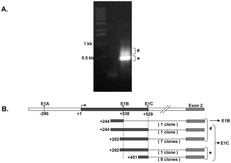 Figure 9