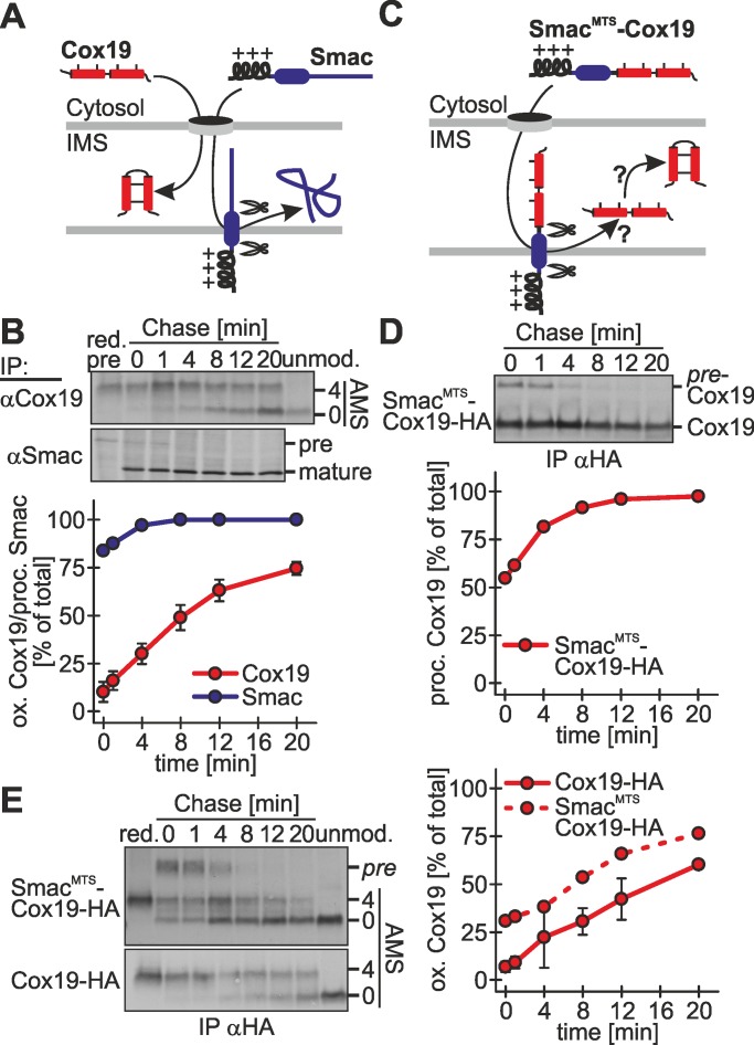 FIGURE 6: