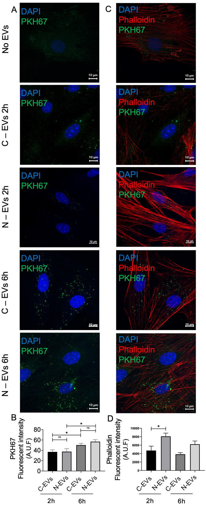 Figure 4.
