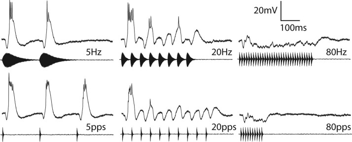 FIG. 6.