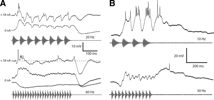 FIG. 9.