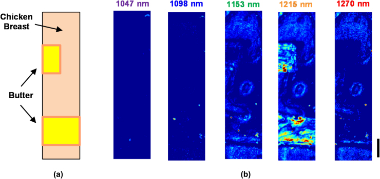 Fig. 6