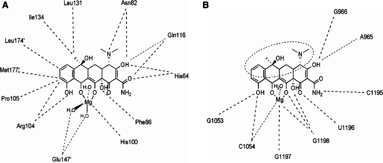 Fig. 6