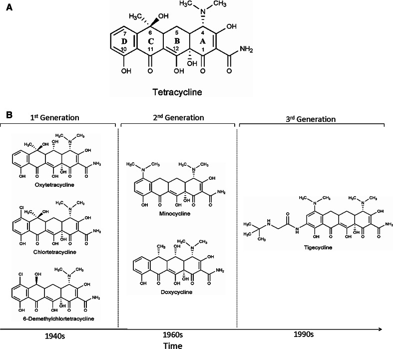 Fig. 1