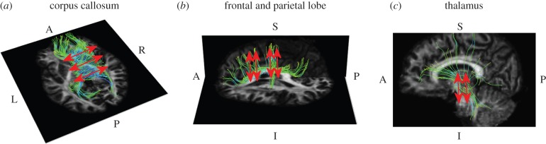 Figure 5.