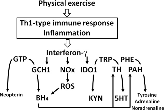 Fig 2