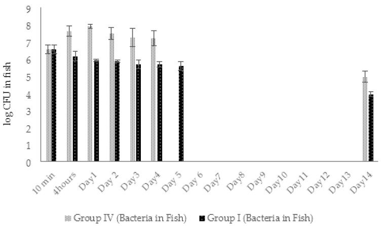 Figure 14