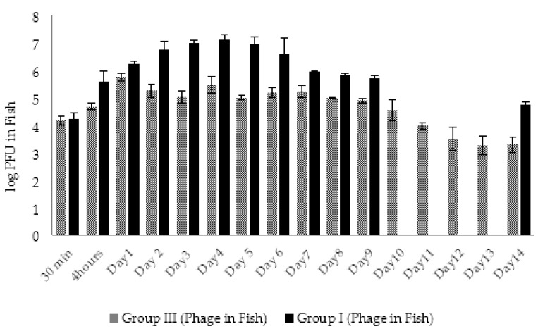 Figure 20