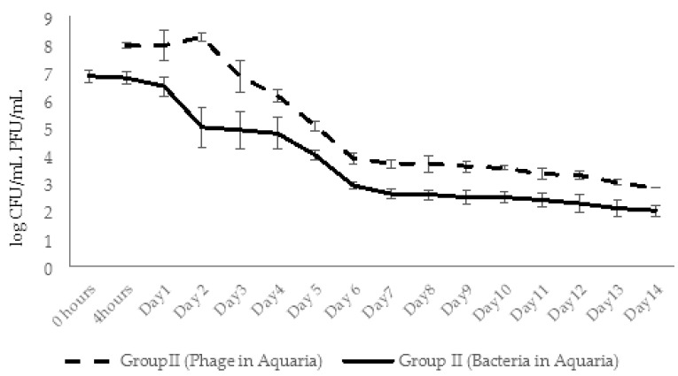 Figure 17