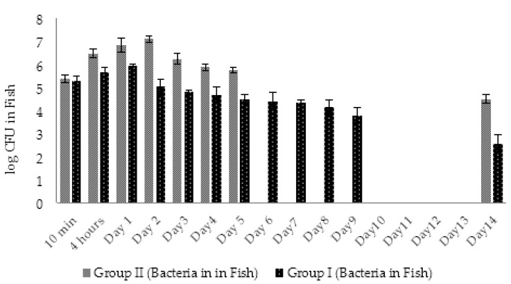 Figure 21