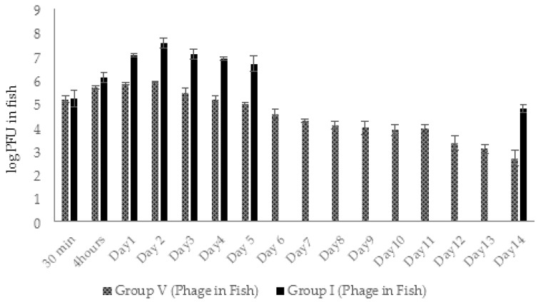 Figure 13